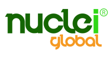 Nucle-i Global Pakistan Logo